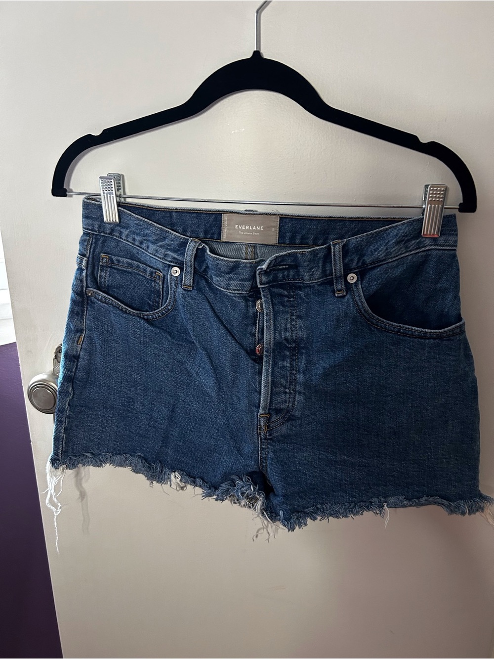 Everlane Cheeky Denim Shorts